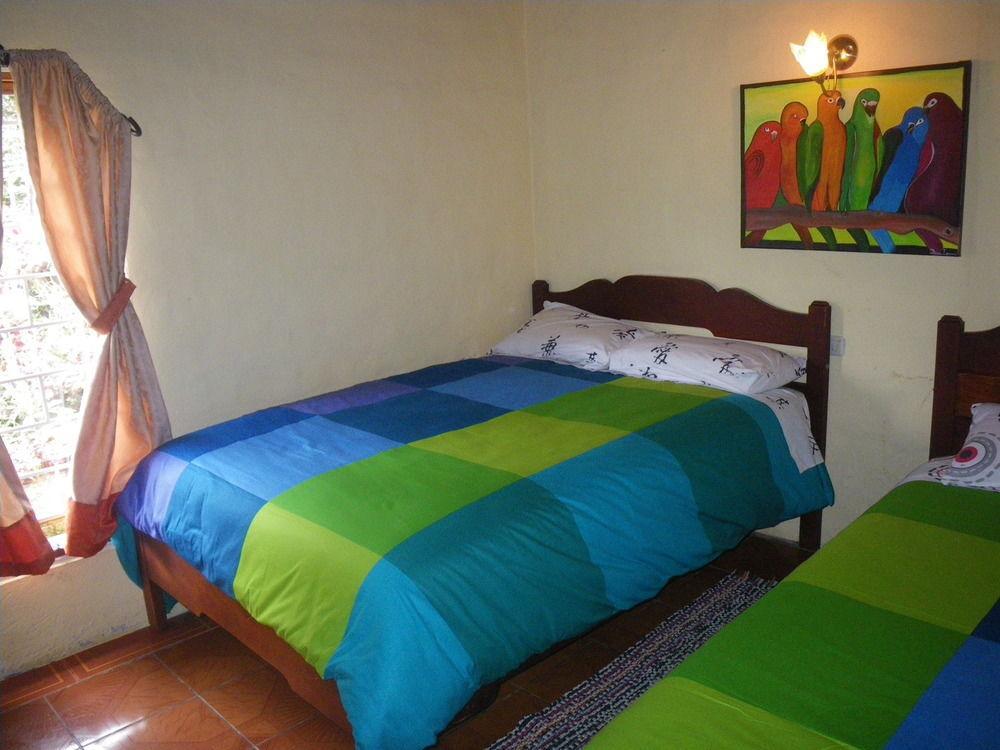 賓館 La Casa Amarilla 3*